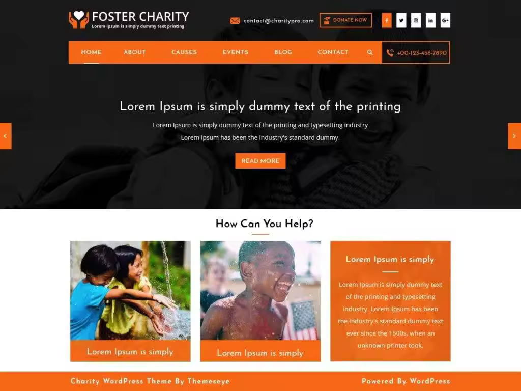 foster-charity-1024x768-1.jpgo_