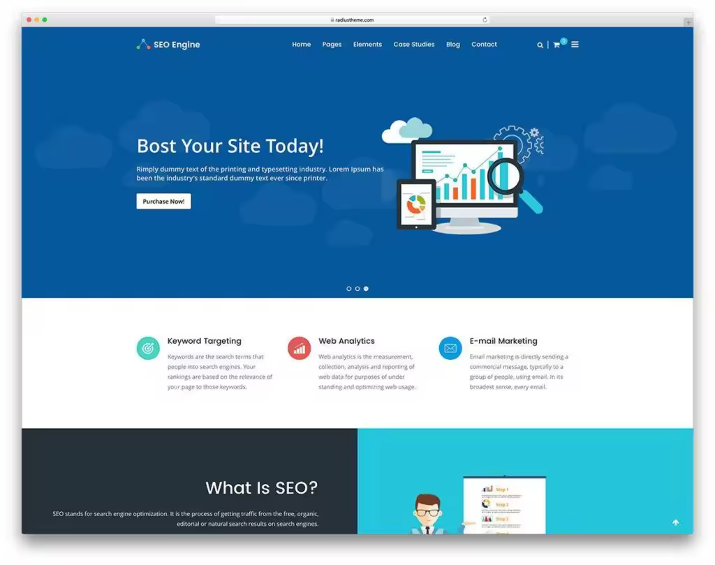 seo-engine-company-wordpress-theme.jpgo_