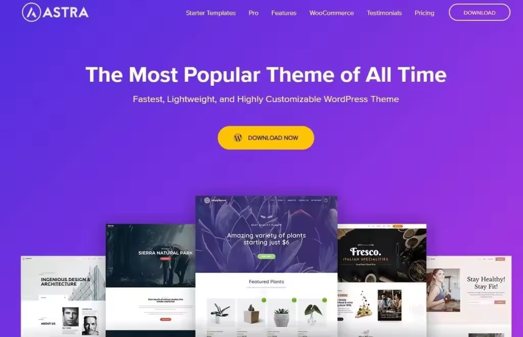 website-for-astra-wordpress-affiliate-theme.jpgo_
