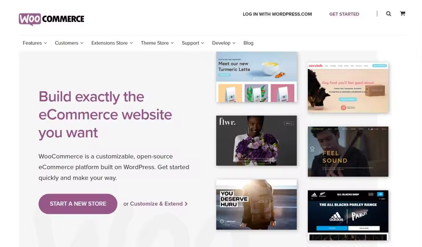woocommerce-homepage-image.jpego_