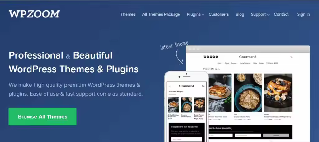 wpzoom-framework-wordpress-1024x456.webp.jpgo_